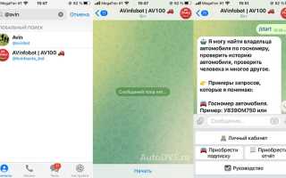 Как проверить машину в телеграмме бесплатно