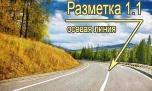 Горизонтальная дорожная разметка с пояснениями