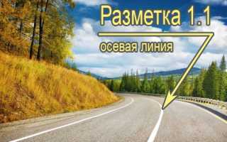 Горизонтальная дорожная разметка с пояснениями