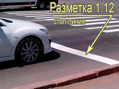 Стоп-линия