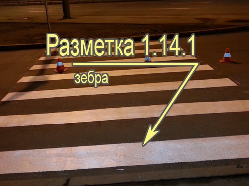 Малая зебра