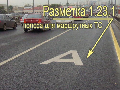 Полоса для общественного транспорта