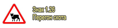 Перегон скота