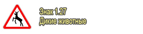 Дикие животные