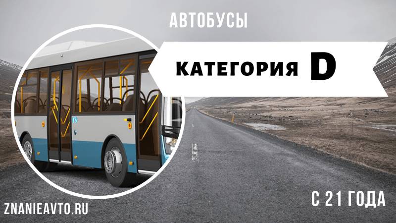 Автобусы (D)