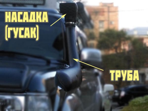 Как выглядит шноркель