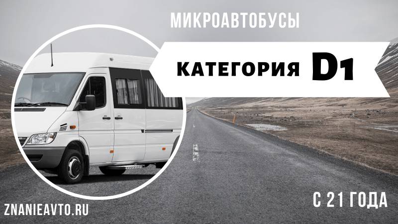 Микроавтобусы (D1)