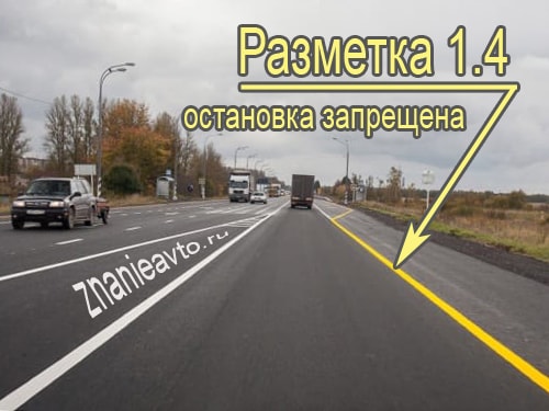 Желтая сплошная