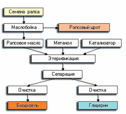 технология производства биодизеля